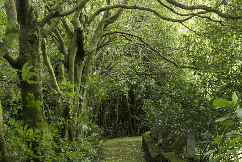 Affittacamere Quinta da Mo Furnas  Esterno foto
