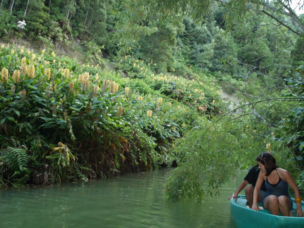 Affittacamere Quinta da Mo Furnas  Esterno foto